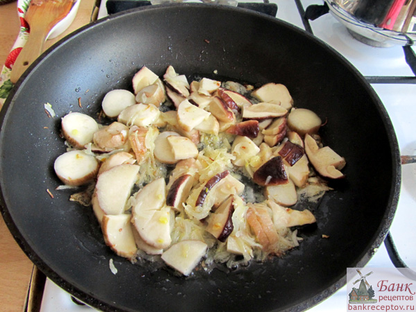 Как приготовить белые грибы в сметане, рецепт и фото