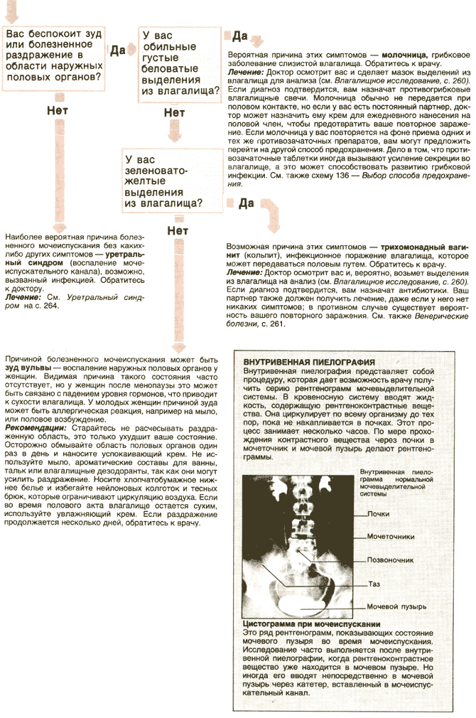 вегеторианская кремлевская диета минус 10 кг