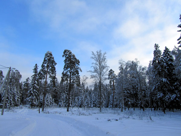 Зима в Подмосковье. Фото