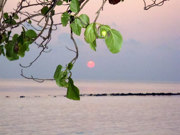 Мальдивы, закаты. Фото
