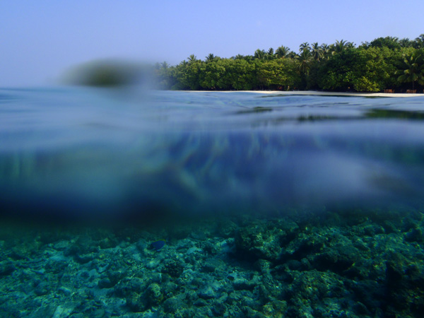 Море на Мальдивах. Фото