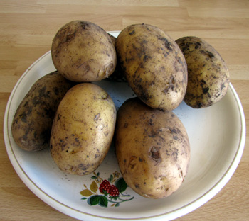 Картошка, фото