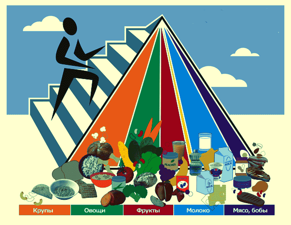 Новая пирамида продуктов, фото