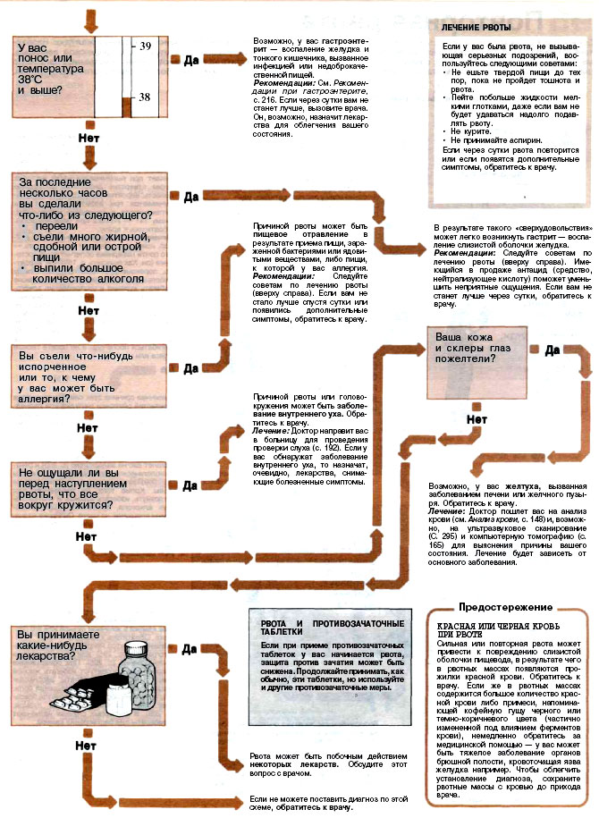 Что делать после тошноты. Как происходит рвота схема. Рекомендации при рвоте. Схема при рвоте. Тошнота схема.