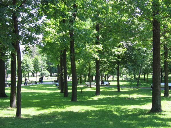 Фото Екатерининского парка