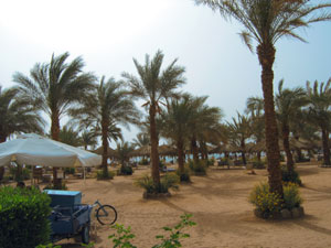 Хилтон. Шарм-Эль-Шейх. Пляж. Фото