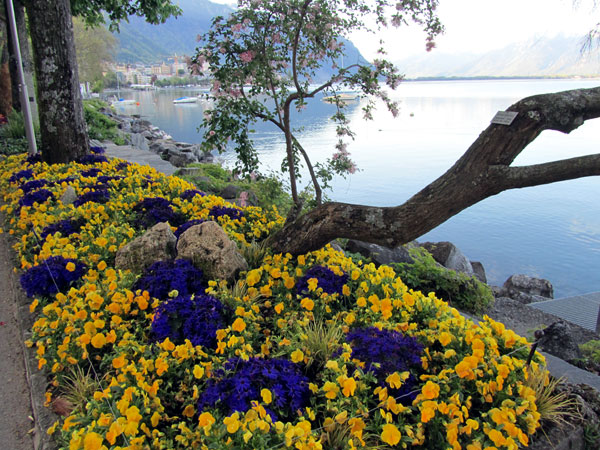 Женевское озеро, набережная, фото