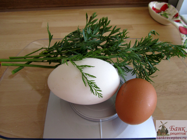 гусиное яйцо, фото