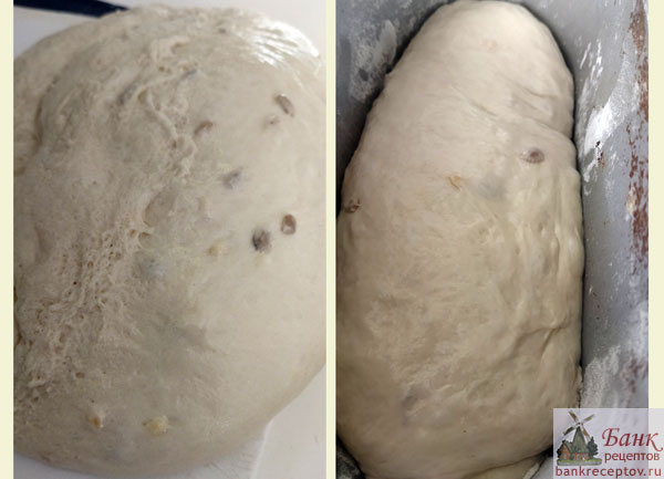 �������� ����� ���������, ����