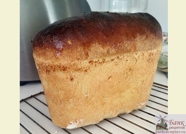 ���� �������� �������� � ���������, ����