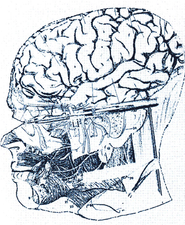 Ганс Рудольф Гигер. Коллаж головы, выполненный аэрографом, фото