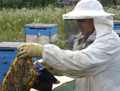 Мед из Башкирии с частной пасеки, фото