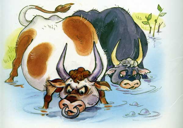 быки, иллюстрация