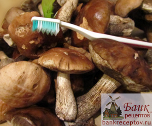 Как почистить лесные грибы