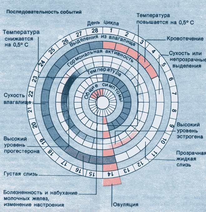 Месячные цикл