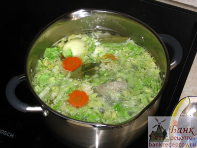 Как приготовить капустный суп на курином бульоне