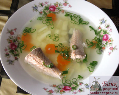 Рецепт рыбного супа из семги, фото.