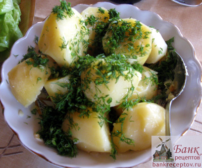 Рецепт приготовления картошки с зеленью. Фото