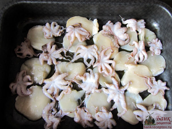 морские гребешки с осьминогами на листе, фото