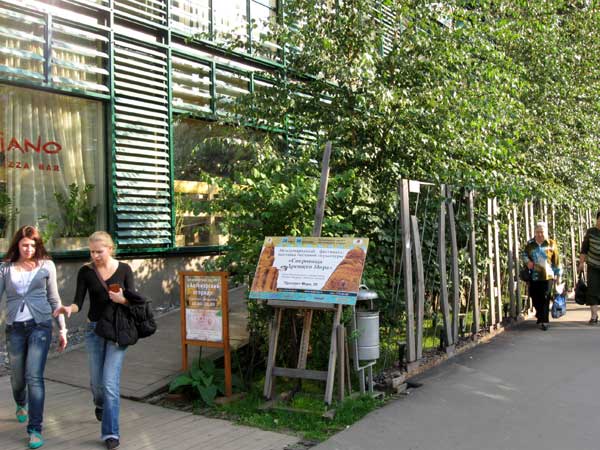 Ботанический сад МГУ. Аптекарский огород, фото