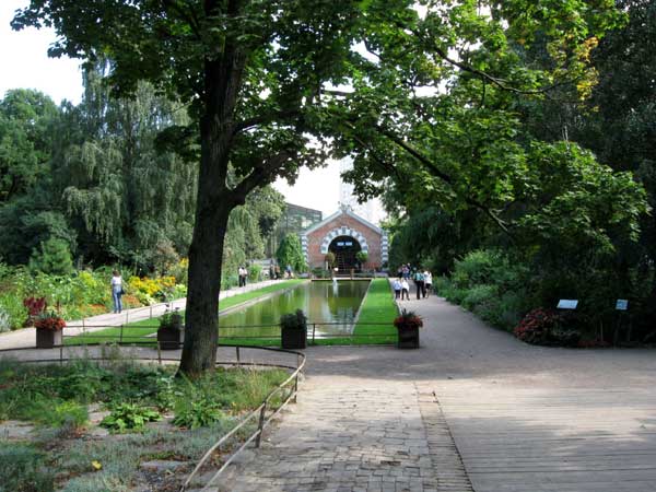 Ботанический сад МГУ. Бассейн, фото