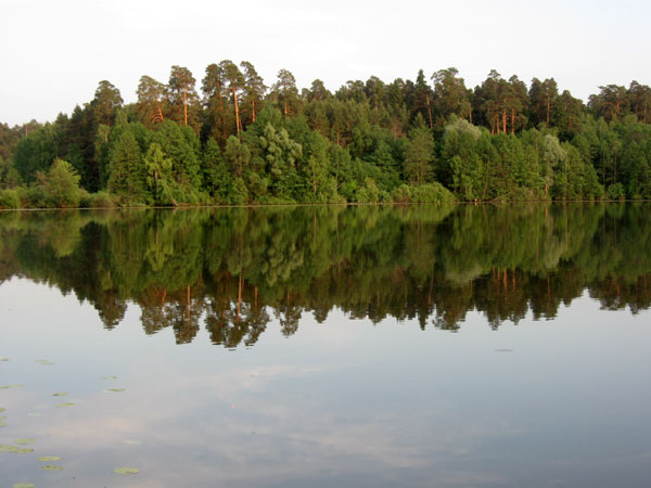 Озеро и сосновый лес, фото